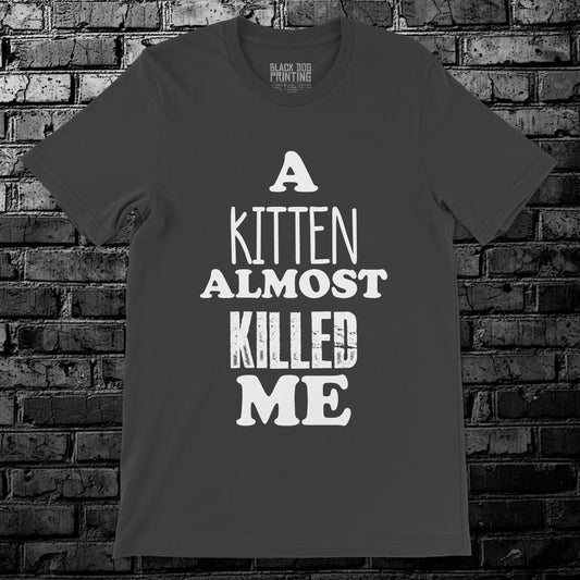 A Kitten Almost Killed Me